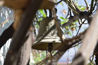 星空娱乐登录-NBA球员转会市场动态，nba转会名单
